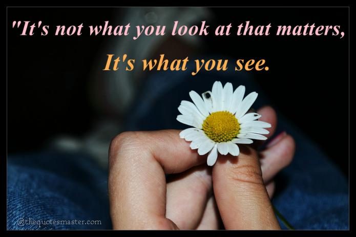 What you see matters Quote