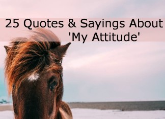 25 Quotes & Sayings About 'My Attitude'