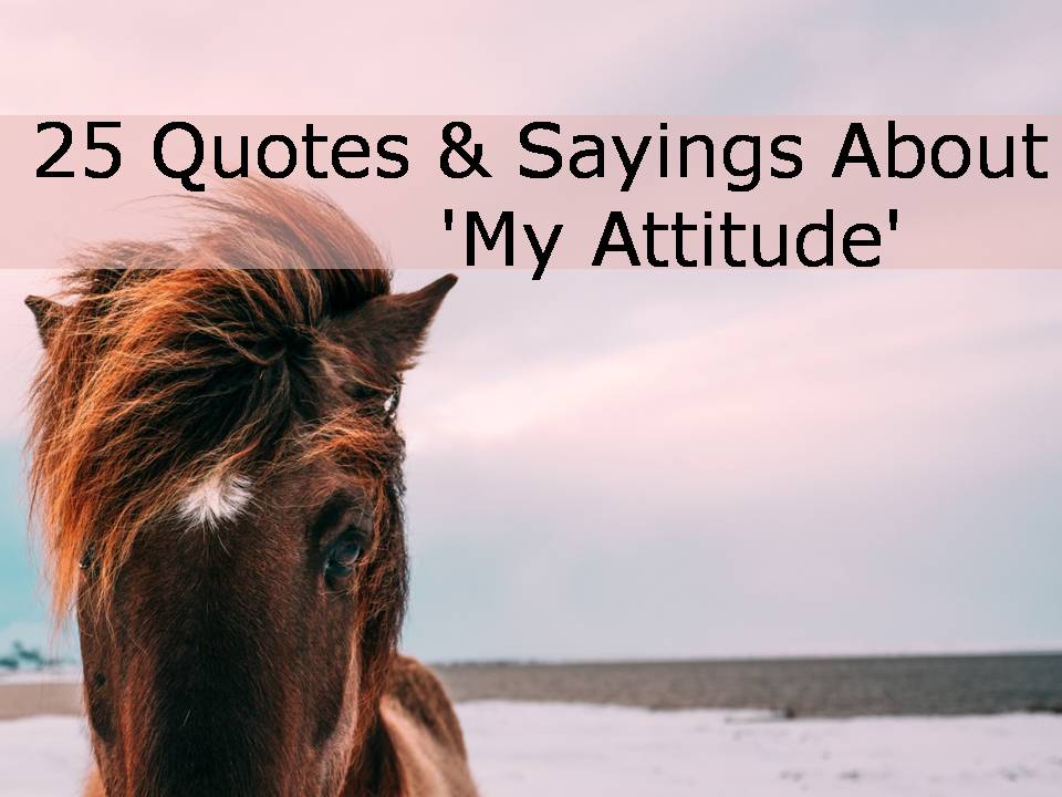 25 Quotes & Sayings About 'My Attitude'