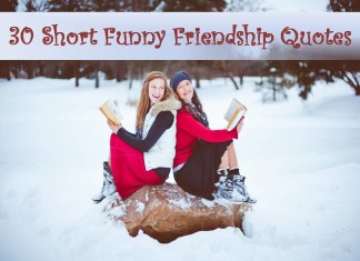30 Short Funny Friendship Quotes