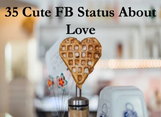 35 Cute FB Status About Love