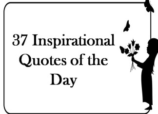 37 Inspirational Quotes of the Day
