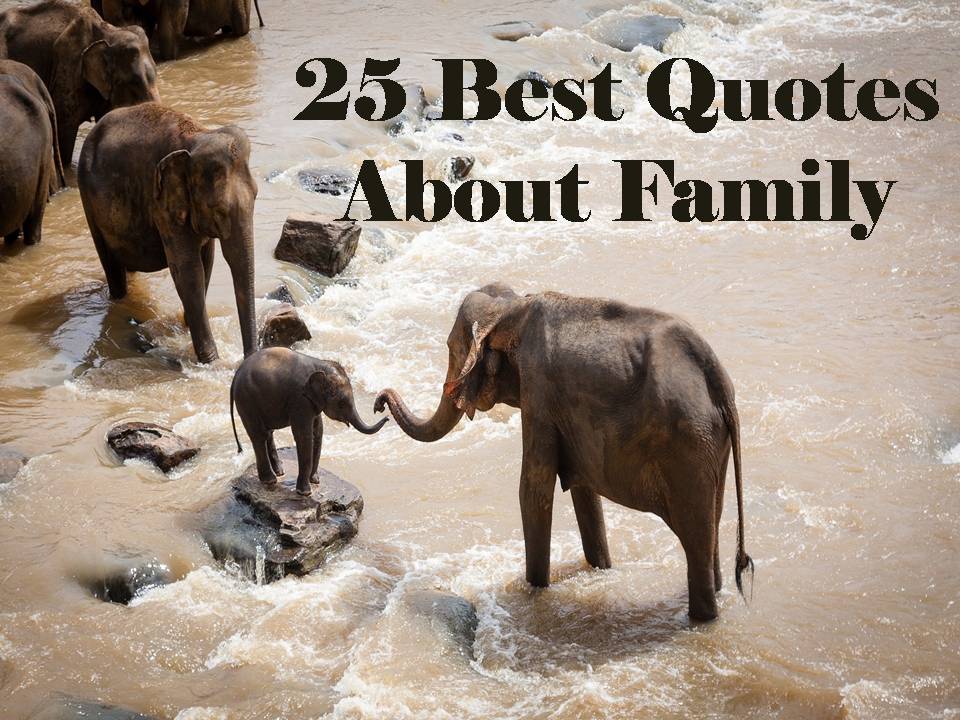 25 Best Quotes About Family
