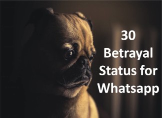 30 Betrayal Status for Whatsapp