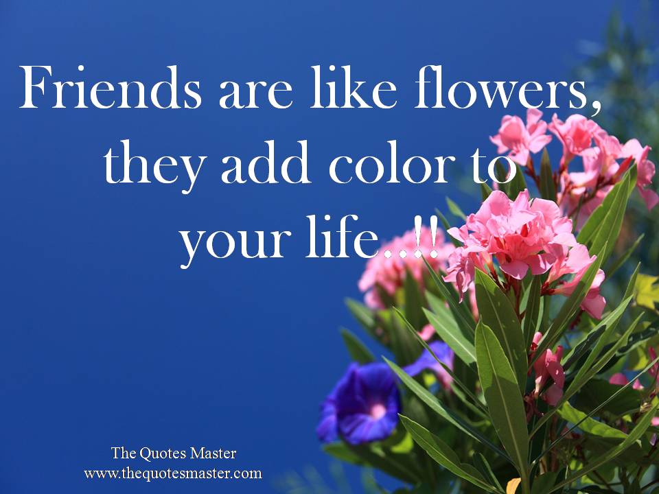 The-quotes-master-friendship-quotes-fb-69