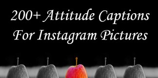 200+ Attitude Captions For Instagram Pictures