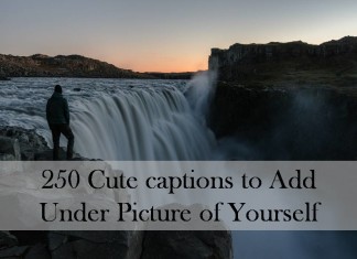 250 Cute captions to Add Under Picture of Yourself