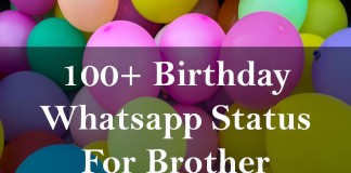 100+ Birthday Whatsapp Status For Brother