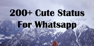 200+ Cute Status For Whatsapp