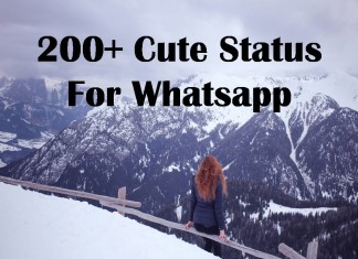 200+ Cute Status For Whatsapp