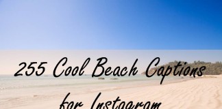 255 Cool Beach Captions for Instagram