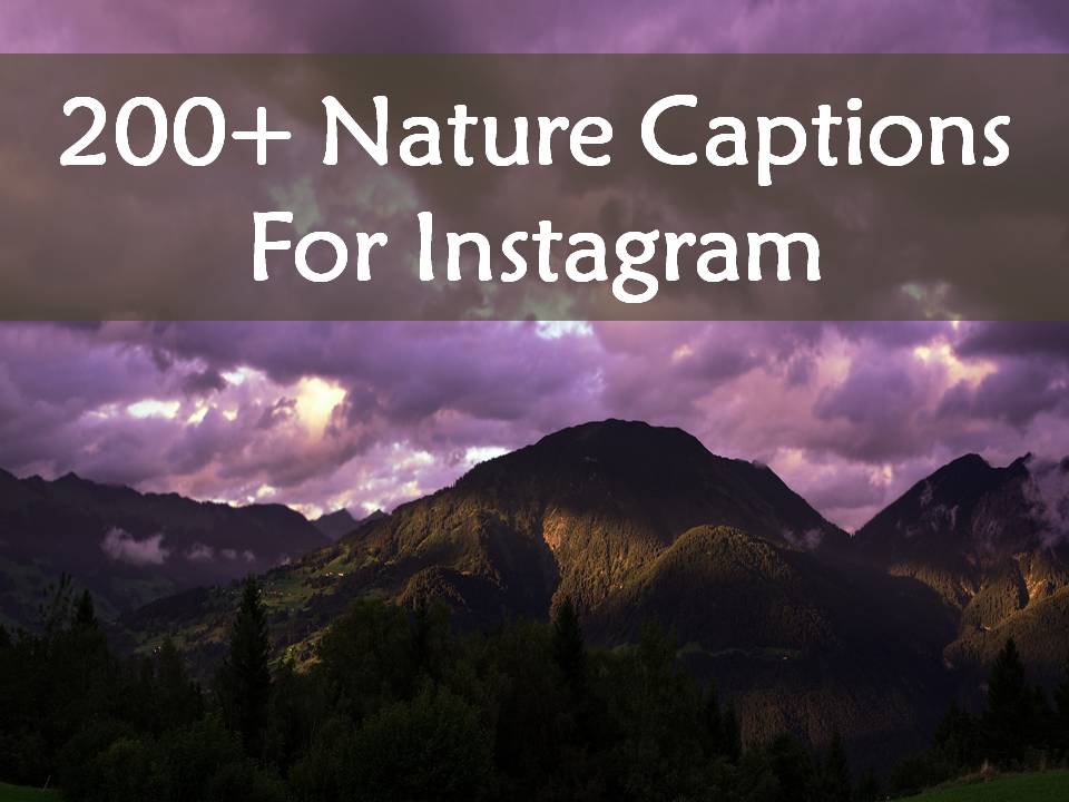 200+ Nature Captions For Instagram