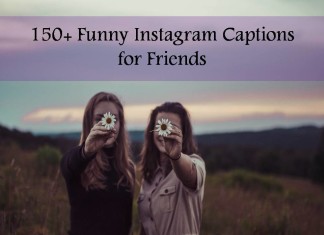 150+ Funny Instagram Captions for Friends