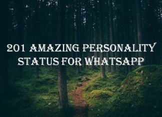 201 Amazing Personality Status for Whatsapp