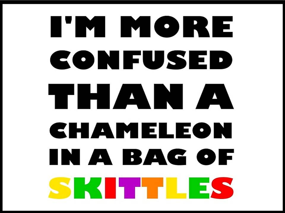 I’m more confused than a chameleon in a bag of Skittles