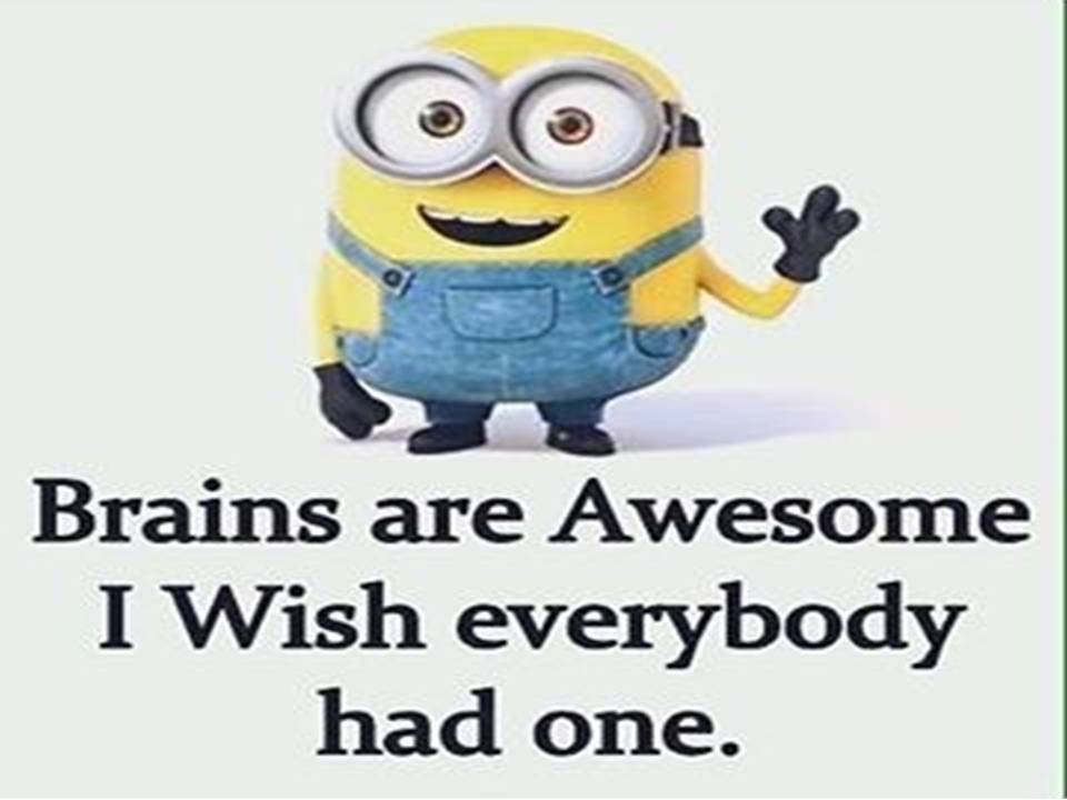 Brains are awesome I wish everybody had one