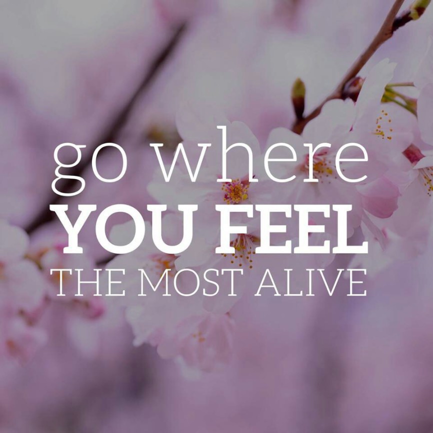 Go where you feel the most alive