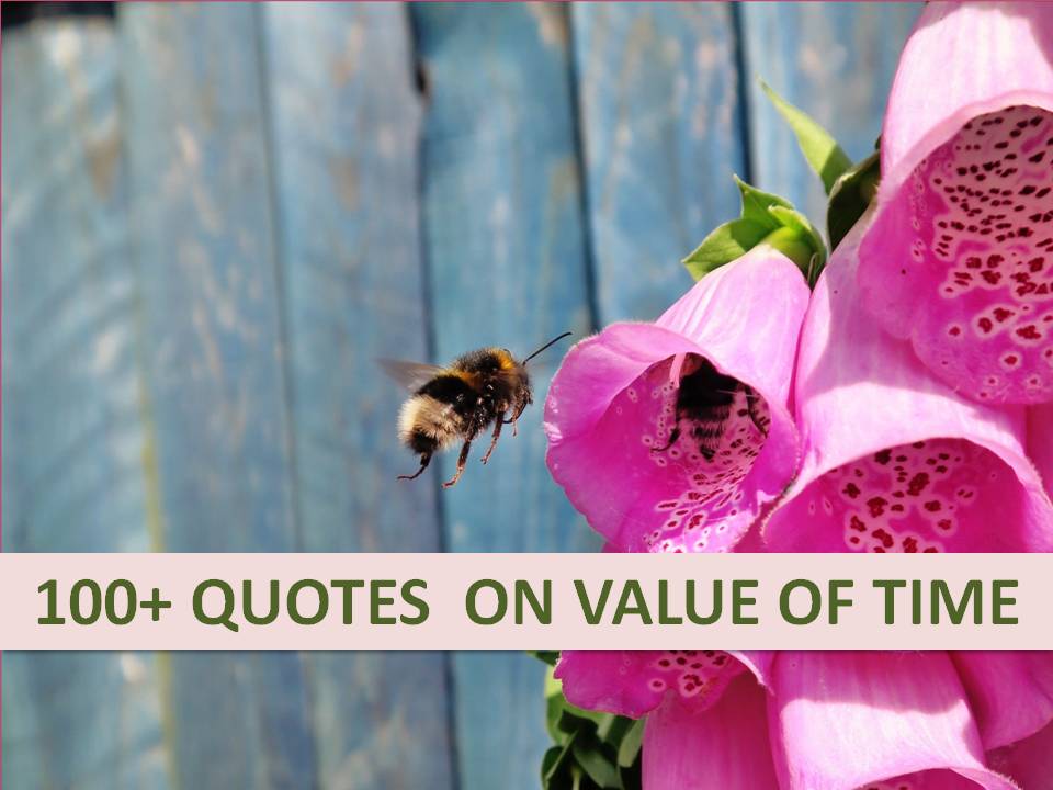 100+ Quotes on Value of Time