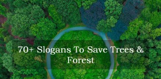 slogans on trees and forest