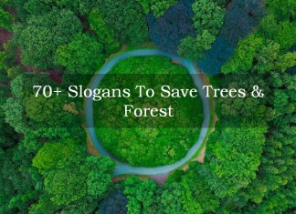 slogans on trees and forest