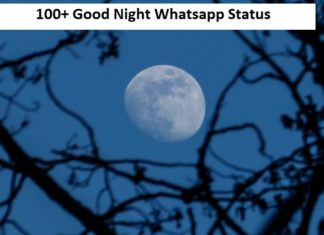 Good Night Whatsapp Status