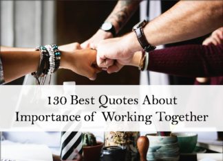 130 Best Quotes About Importance of Working Together