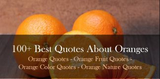 Best Quotes About Oranges