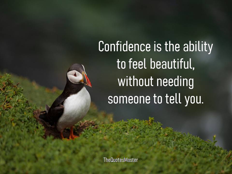 Confidence is the ability to feel beautiful
