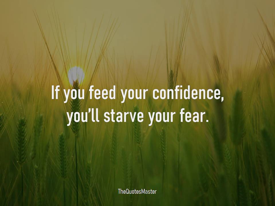 Feed your confidence