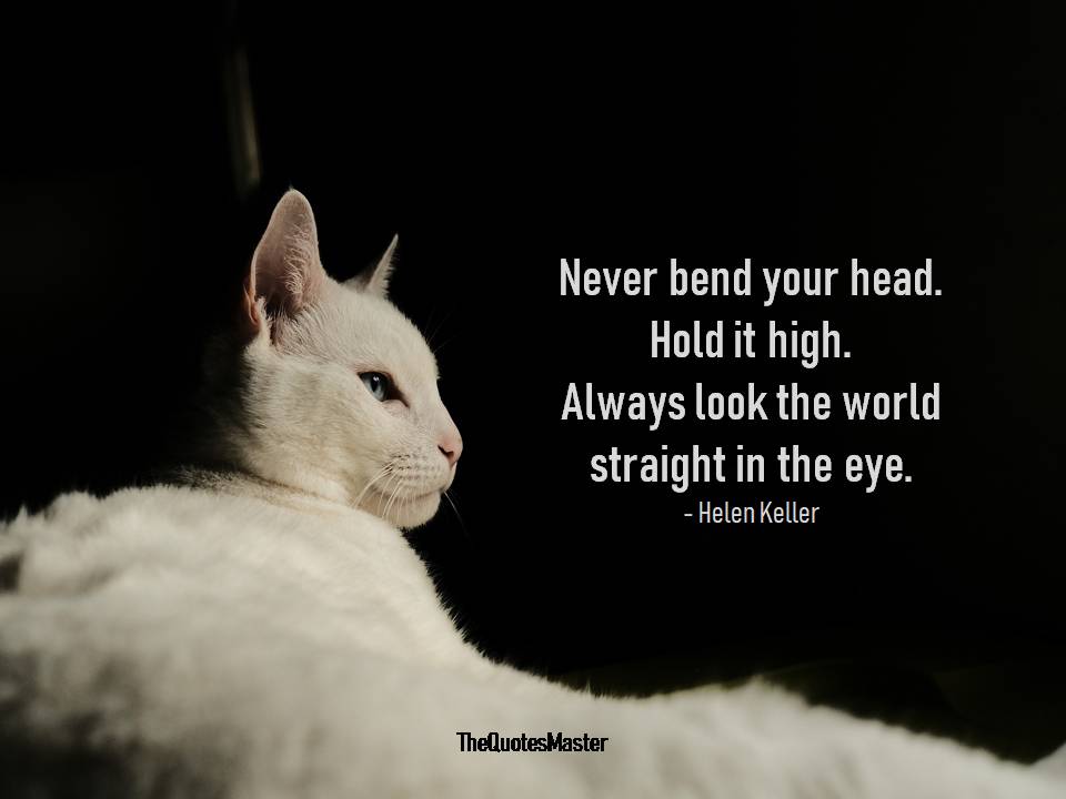 Never bend your head