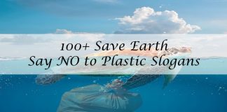 Save earth say no to plastic slogans