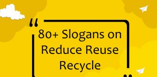 Slogans on Reduce Reuse Recycle