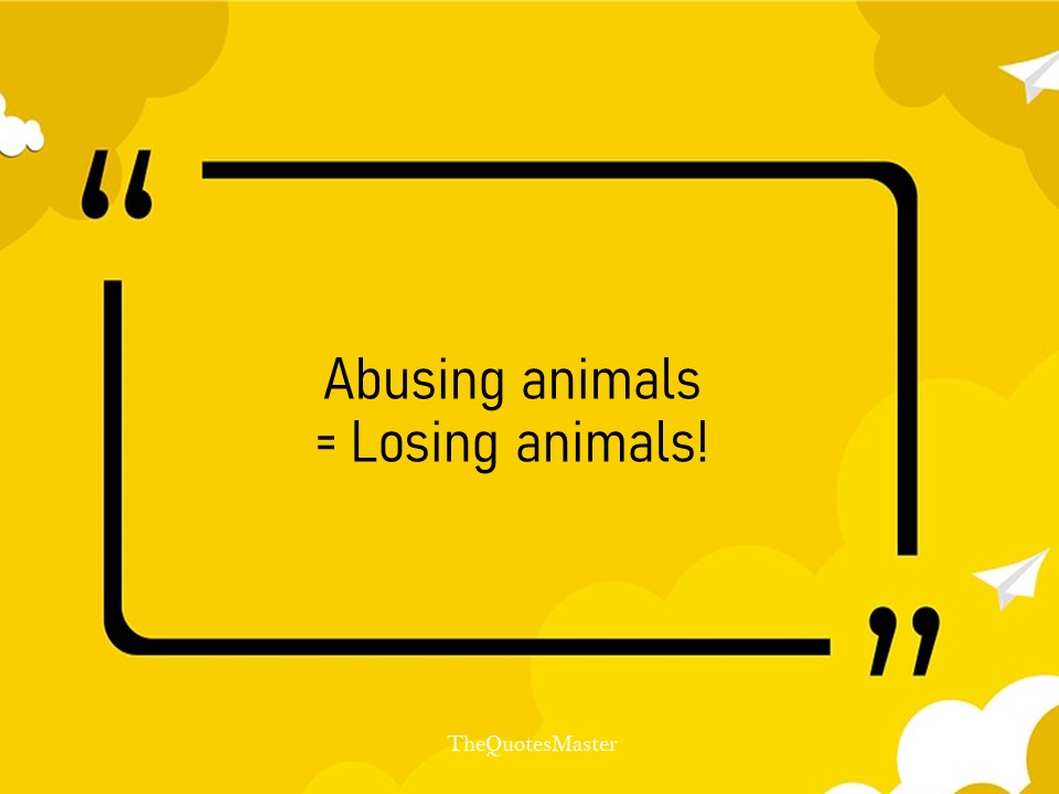 Top 10 Slogans on Animal Cruelty to Stop Animal Abuse