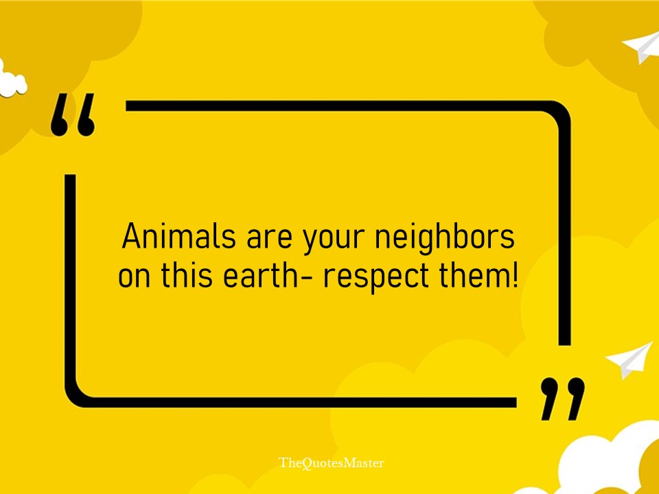 Top 10 slogans on animal cruelty