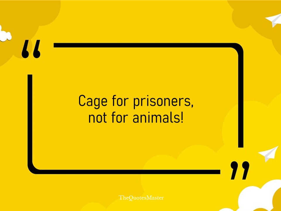 Top 10 slogans on animal cruelty
