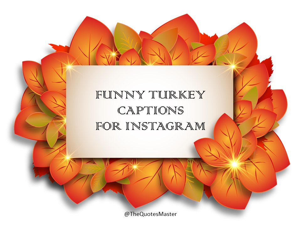 Funny TURKEY CAPTIONS for Instagram