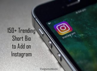 Trending Short Bio to Add on Instagram